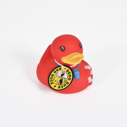 Lifeguard Duck